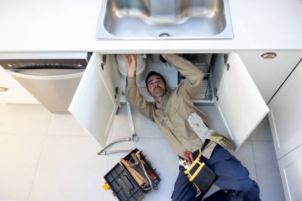 Best Sprinkler Systems  in Fishhook, AK