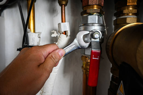 Best Local Plumber Services  in Fishhook, AK